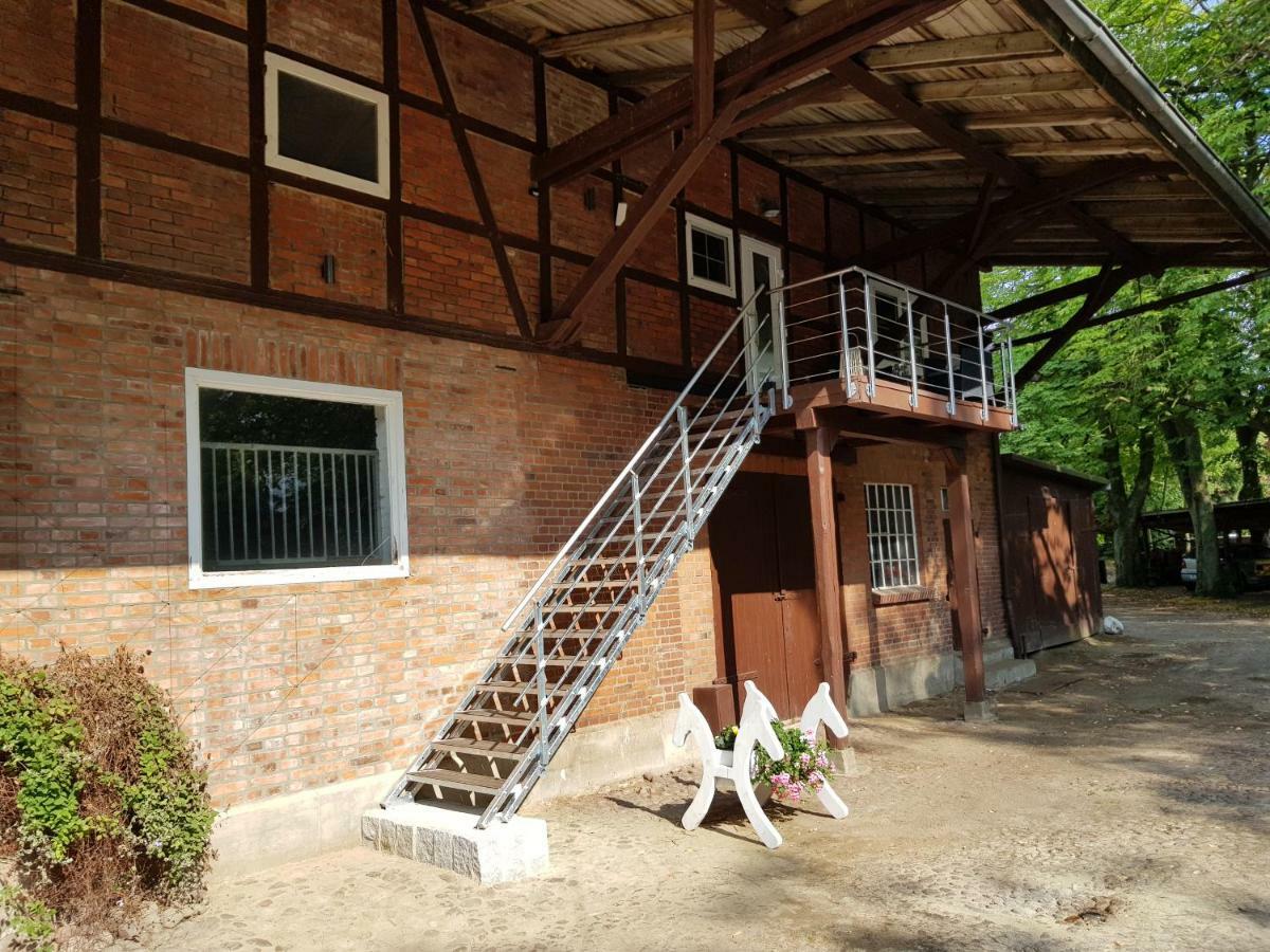 Grosse, Helle Ferienwohnung Mit 2 Balkonen Auf Dem Bauernhof In Der Lueneburger Heide Oetzen エクステリア 写真